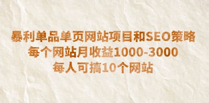 暴利单品单页网站项目和SEO策略 每个网站月收益1000-3000 每人可搞10个-搜易资源网