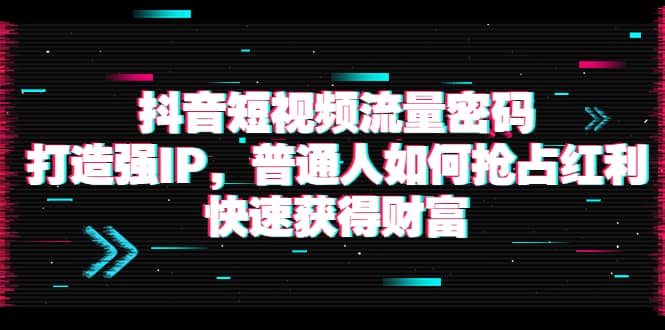 抖音短视频流量密码：打造强IP，普通人如何抢占红利，快速获得财富-搜易资源网