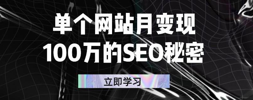 单个网站月变现100万的SEO秘密，百分百做出赚钱站点-搜易资源网