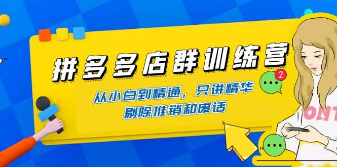 拼多多店群训练营：从小白到精通，只讲精华，剔除推销和废话-搜易资源网