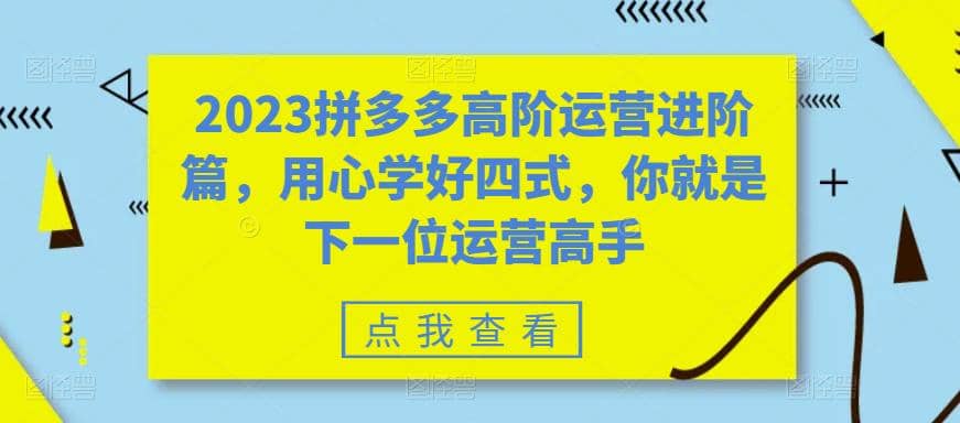 2023拼多多高阶运营进阶篇，用心学好四式，你就是下一位运营高手-搜易资源网