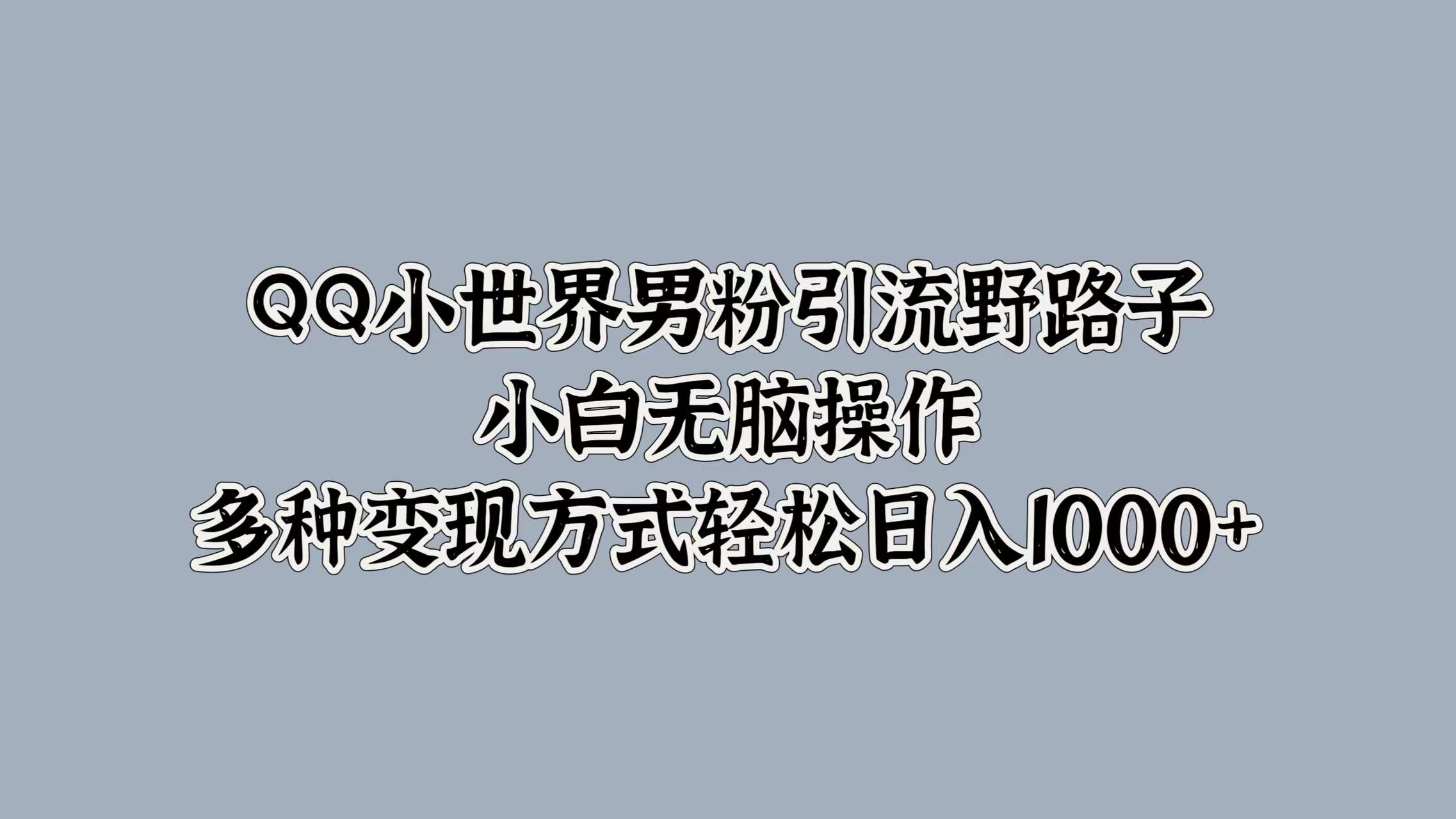 QQ小世界男粉引流野路子，小白无脑操作，多种变现方式轻松日入1000+-搜易资源网