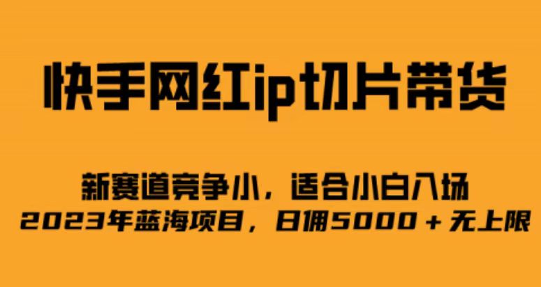 快手网红ip切片新赛道，竞争小事，适合小白 2023蓝海项目-搜易资源网