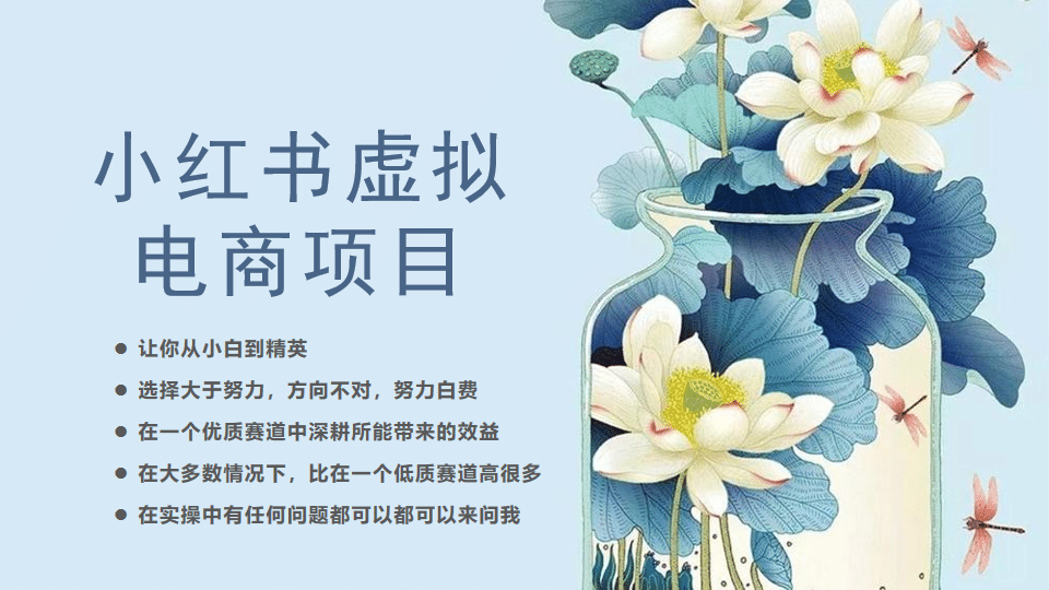小红书虚拟电商从0到1，让你从小白到精英（20节实操课程）-搜易资源网