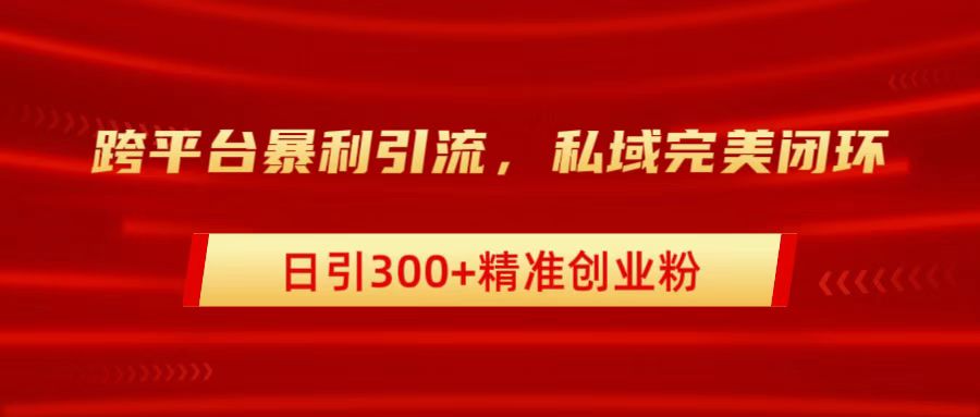 跨平台暴力引流，私域完美闭环，日引300+精准创业粉-搜易资源网