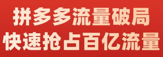 阿杰·拼多多流量破局:如何打黑标，爆款的思路，拼多多流量框架，快速抢占百亿流量-搜易资源网