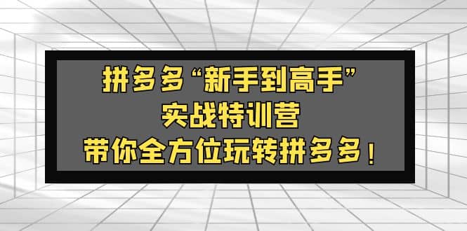 拼多多“新手到高手”实战特训营：带你全方位玩转拼多多-搜易资源网