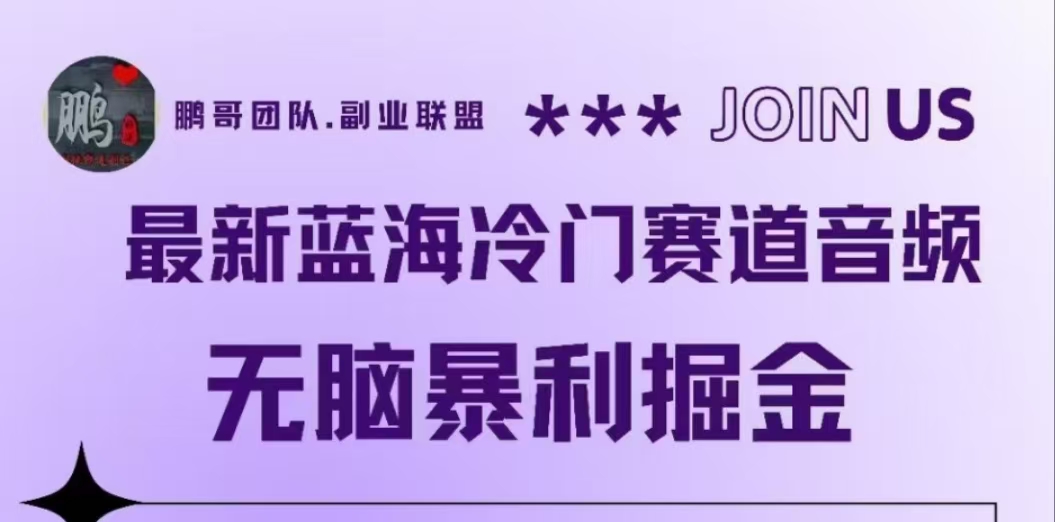 最新蓝海冷门赛道音频，无脑暴利掘金-搜易资源网