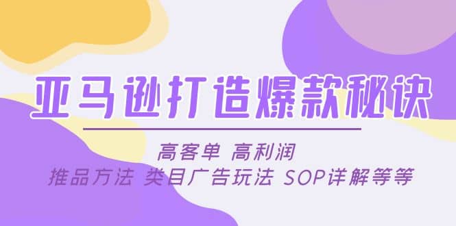 亚马逊打造爆款秘诀：高客单 高利润 推品方法 类目广告玩法 SOP详解等等-搜易资源网
