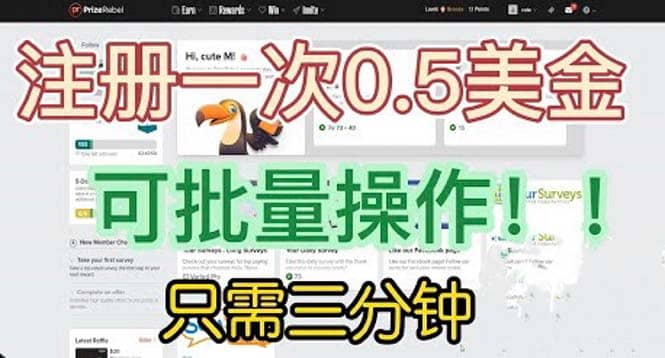 国外项目注册一次0.5美金 只需三分钟无脑操作 可批量放大 小白工作室福利-搜易资源网