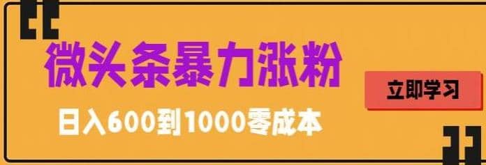 微头条暴力涨粉技巧搬运文案就能涨几万粉丝，简单0成本，日赚600-搜易资源网