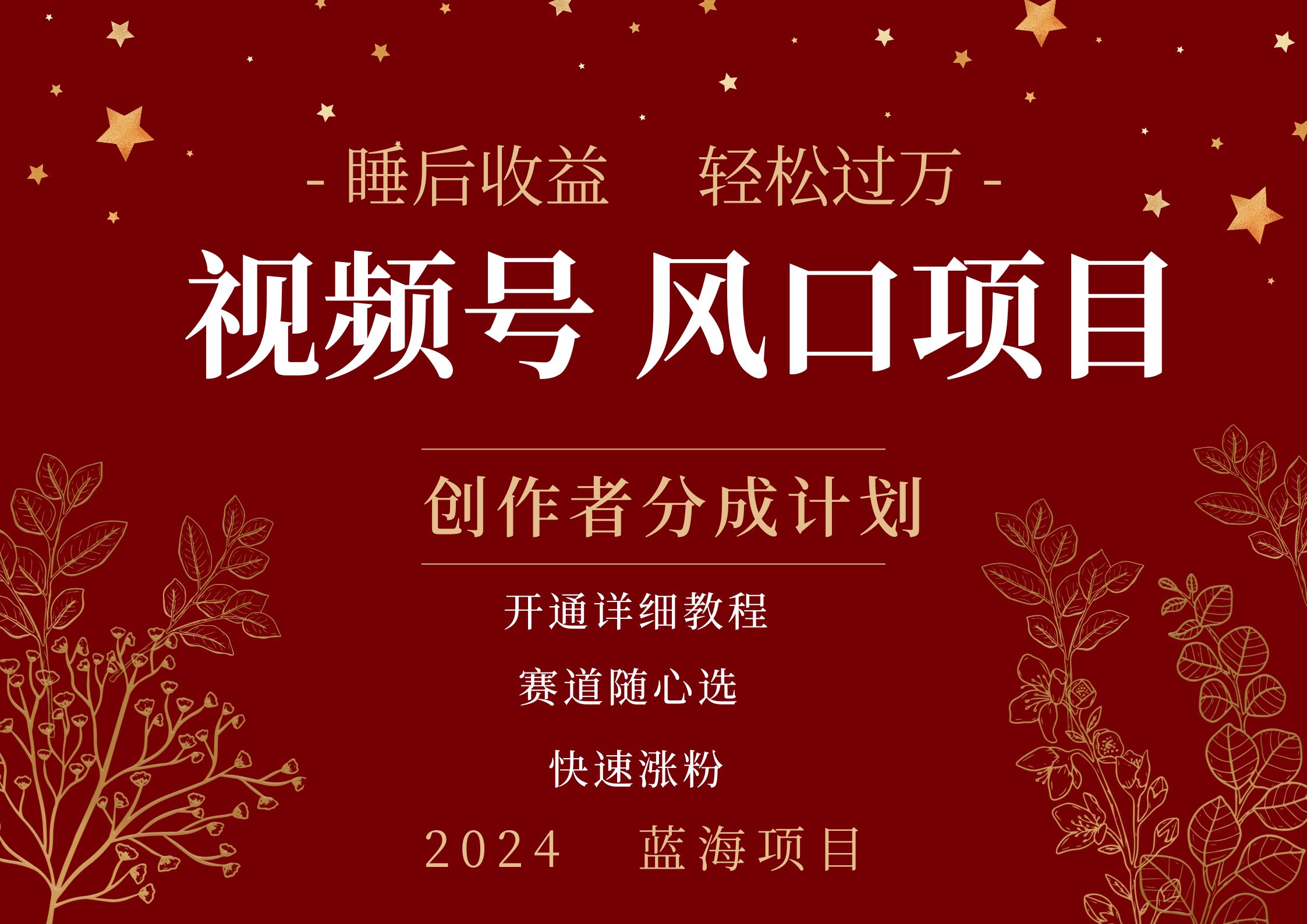 拥有睡眠收益的微信视频号大风口项目，轻松月入过万+，多赛道选择，可矩阵，玩法简单轻松上手-搜易资源网