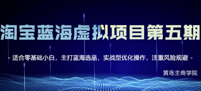 淘宝虚拟无货源3.0+4.0+5.0，适合零基础小白，主打蓝海选品，实战型优化操作-搜易资源网