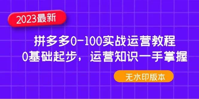 2023拼多多0-100实战运营教程，0基础起步，运营知识一手掌握（无水印）-搜易资源网
