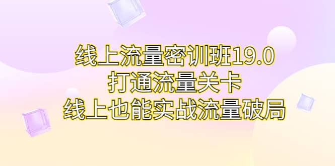 线上流量密训班19.0，打通流量关卡，线上也能实战流量破局-搜易资源网