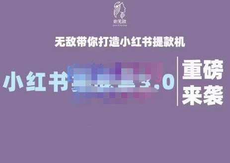 谢无敌·小红书实战营3.0，无敌带你打造小红书提款机 价值7999元-搜易资源网