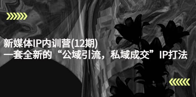 新媒体IP内训营(12期)，一套全新的“公域引流，私域成交”IP打法，直接带走-搜易资源网