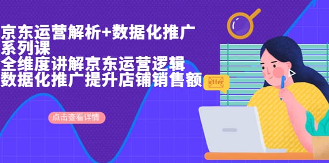 京东运营解析与数据化推广系列课，全维度讲解京东运营逻辑+数据化推广提升店铺销售额-搜易资源网