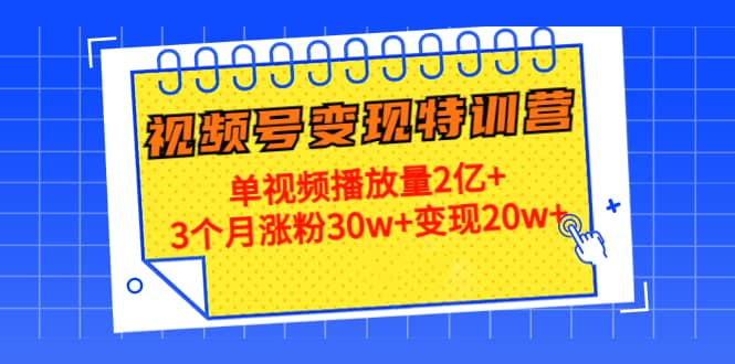 20天视频号变现特训营：单视频播放量2亿+-搜易资源网