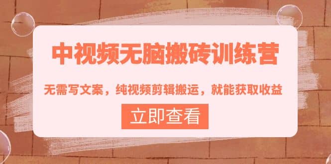 中视频无脑搬砖训练营：无需写文案，纯视频剪辑搬运，就能获取收益-搜易资源网