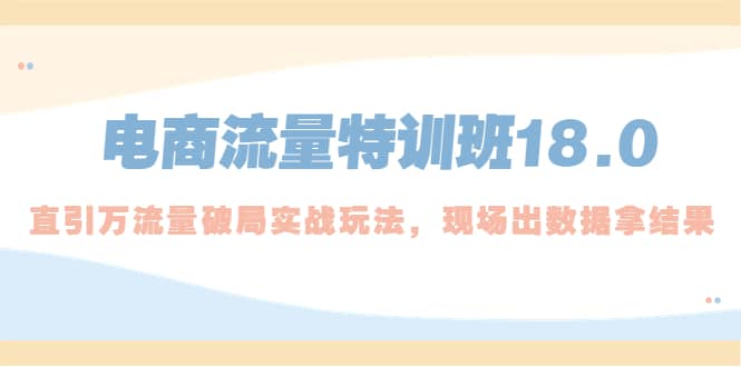 电商流量特训班18.0，直引万流量破局实操玩法，现场出数据拿结果-搜易资源网