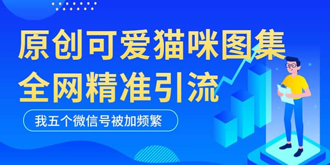 黑科技纯原创可爱猫咪图片，全网精准引流，实操5个VX号被加频繁-搜易资源网