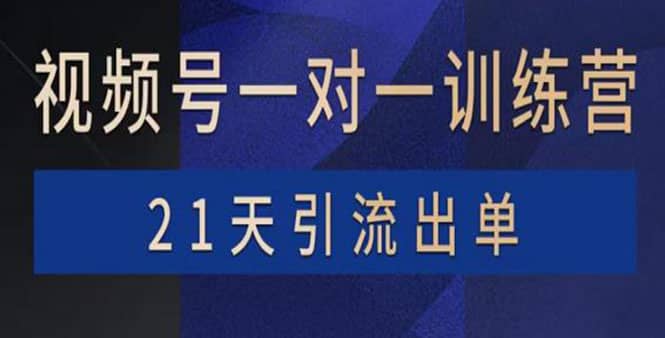 视频号训练营：带货，涨粉，直播，游戏，四大变现新方向，21天引流出单-搜易资源网
