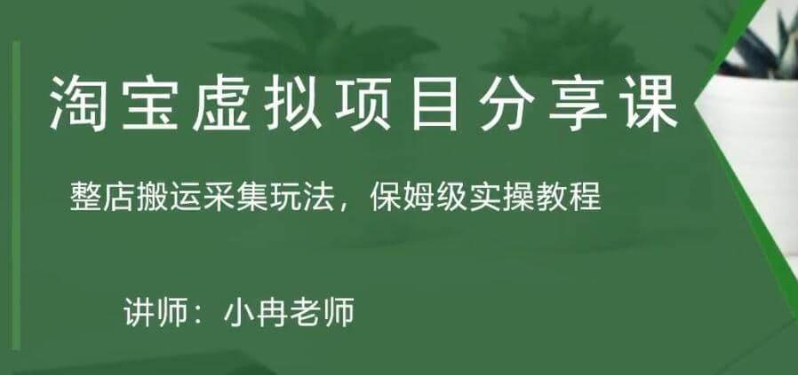 淘宝虚拟整店搬运采集玩法分享课：整店搬运采集玩法，保姆级实操教程-搜易资源网