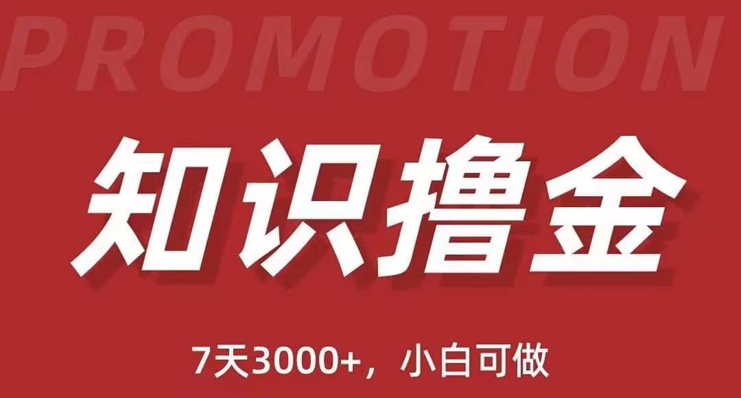 抖音知识撸金项目：执行力强当天见收益(教程+资料)-搜易资源网
