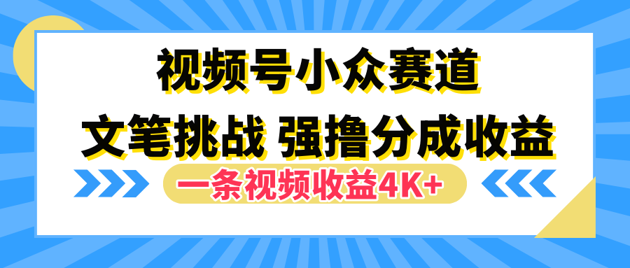 视频号小众赛道，文笔挑战，一条视频收益4K+-搜易资源网