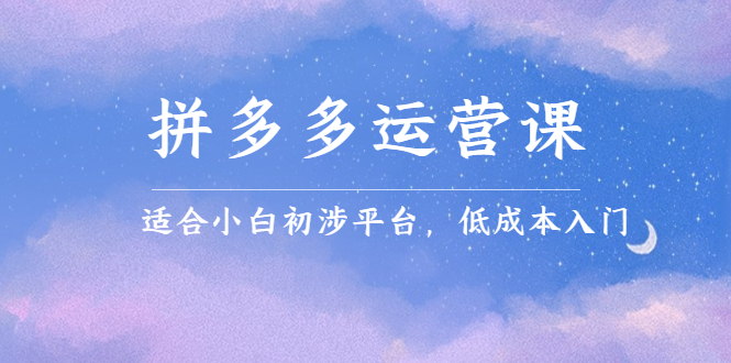 拼多多运营课，适合小白初涉平台，低成本入门-搜易资源网