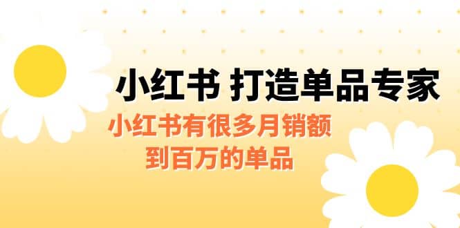 某公众号付费文章《小红书 打造单品专家》小红书有很多月销额到百万的单品-搜易资源网