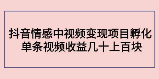 抖音情感中视频变现项目孵化-搜易资源网