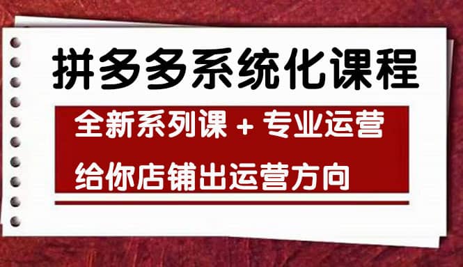 车神陪跑，拼多多系统化课程，全新系列课+专业运营给你店铺出运营方向-搜易资源网