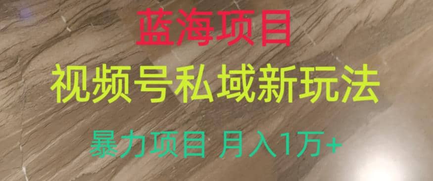 蓝海项目，视频号私域新玩法，暴力项目月入1万+【揭秘】-搜易资源网