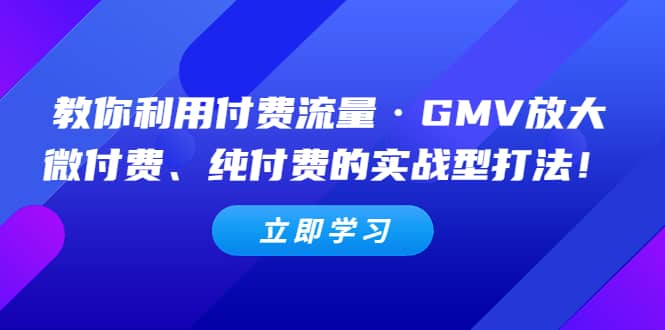 教你利用付费流量·GMV放大，微付费、纯付费的实战型打法-搜易资源网