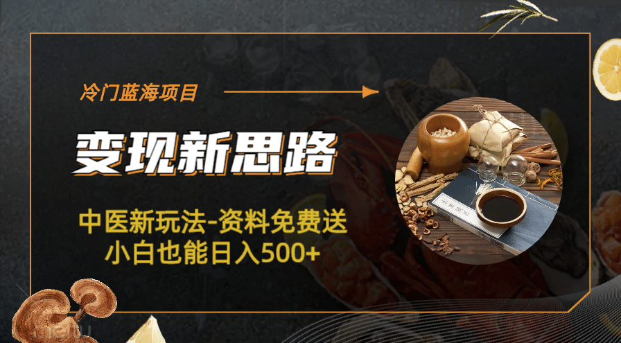 冷门蓝海项目-中医新玩法-冷门蓝海项目-中医新玩法-资料免费送小白也能日入500+500+-搜易资源网