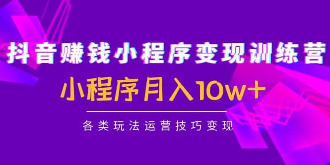 抖音小程序变现训练营：小程序各类玩法运营技巧变现-搜易资源网