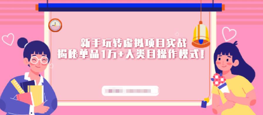新手玩转虚拟项目实战，揭秘单品1万+大类目操作模式【视频课程】-搜易资源网