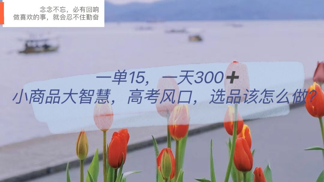 一单15，一天300+，小商品大智慧，高考风口，选品该怎么布局-搜易资源网