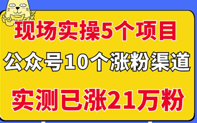 现场实操5个公众号项目，10个涨粉渠道，实测已涨21万粉！-搜易资源网