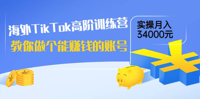 海外TikTok高阶训练营：教你做个能赚钱的账号，实操月入34000元！-搜易资源网