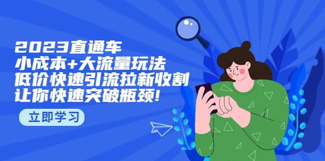 2023直通小成本+大流量玩法，低价快速引流拉新收割，让你快速突破瓶颈-搜易资源网