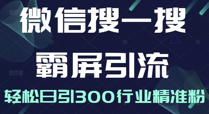 微信搜一搜霸屏引流课，打造被动精准引流系统，轻松日引300行业精准粉【无水印】-搜易资源网