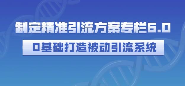 制定精准引流方案专栏6.0，0基础打造被动引流系统-搜易资源网