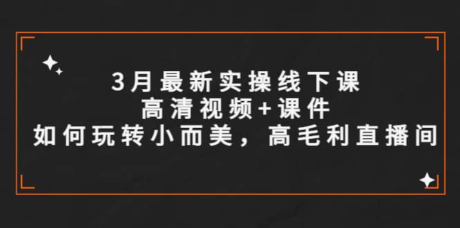 3月最新实操线下课高清视频+课件，如何玩转小而美，高毛利直播间-搜易资源网