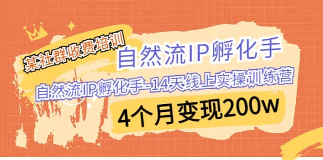 某社群收费培训：自然流IP 孵化手-14天线上实操训练营 4个月变现200w-搜易资源网