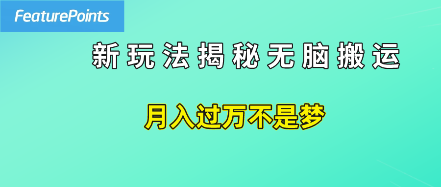 简单操作，每天50美元收入，搬运就是赚钱的秘诀！-搜易资源网