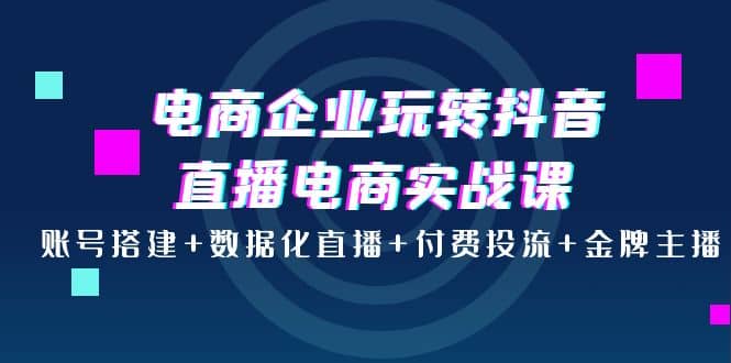 电商企业玩转抖音直播电商实战课：账号搭建+数据化直播+付费投流+金牌主播-搜易资源网