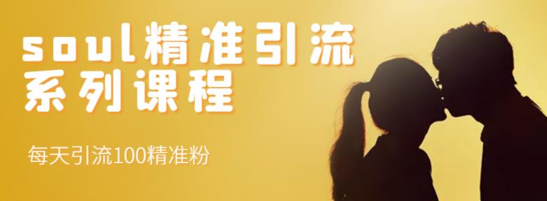 soul精准引流系列课程，每天引流100精准粉-搜易资源网